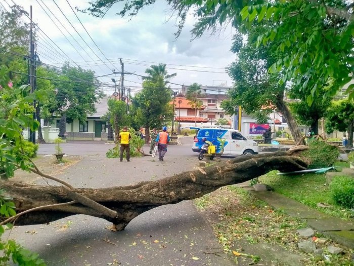 Extreme Weather Caused Damages and Injuries in Bali | Expat Life in ... Dampak cuaca buruk terhadap aktivitas di enam ibu kota Indonesia