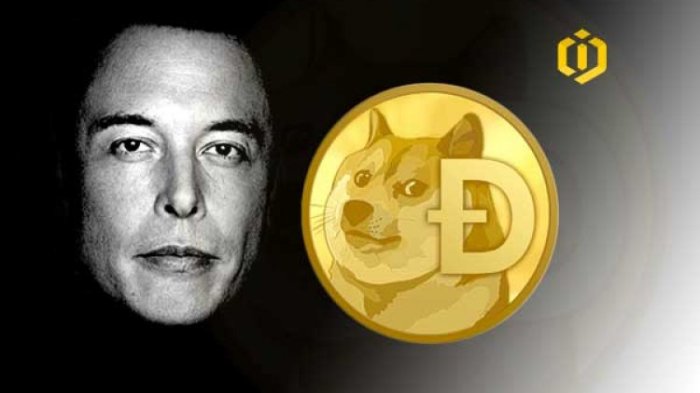 5 Things You Need To Know About Elon Musk's Favorite Cryptocurrency ... Apakah DOGE atau BTC menjadi cryptocurrency favorit Elon Musk