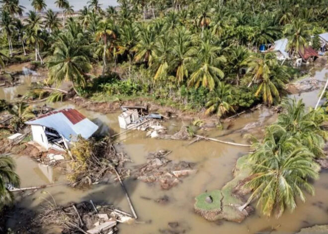 REAKTIVASI NILAI: Mengembalikan Mandat Sosial BUMN dalam Penanganan Bencana di Sumatera
