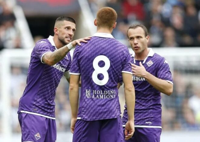 Preview Newcastle United vs Fulham – prediksi dan lineup